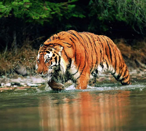 Tour in Praradise - Bhutan