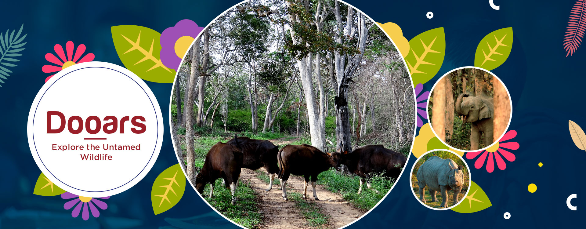 Red Horse Tours & Travels